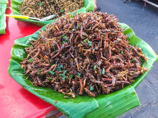 Insectos fritos — Foto de Stock