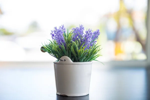 Flores utilizadas para decorar — Foto de Stock