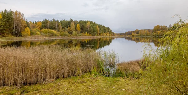 Estanque Molino Pueblo Bugrovo Montañas Pushkin Región Pskov Rusia —  Fotos de Stock