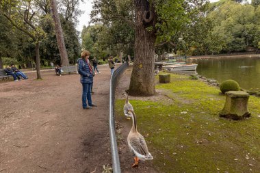 Sonbaharda Roma. Villa Borghese 'de. Parktaki Gölet