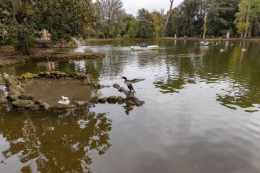 Roma / İtalya - 11 / 17 / 2019: Sonbaharda Roma. Villa Borghese 'de. Parktaki Gölet
