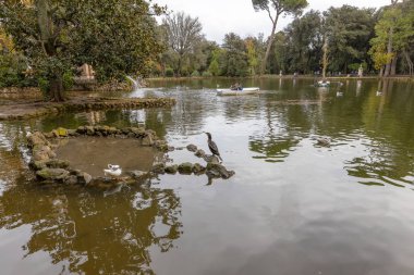 Roma / İtalya - 11 / 17 / 2019: Sonbaharda Roma. Villa Borghese 'de. Parktaki Gölet