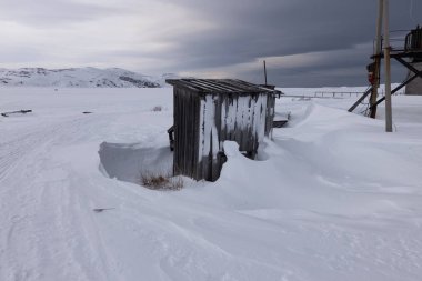 Karla kaplı tundra, Kola Yarımadası, Teriberka, Rusya