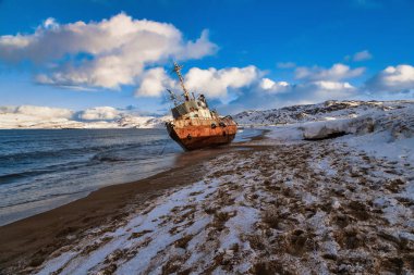 Teriberka, Murmansk bölgesi / Rusya: Kuzey Buz Denizi kıyıları. Sörfçü buzlu okyanus suyundan çıkar.