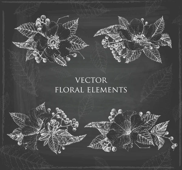 Conjunto de elementos florales para diseño. Blanco y negro . — Archivo Imágenes Vectoriales