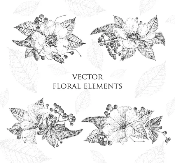 Conjunto de elementos florales para diseño. Blanco y negro . — Archivo Imágenes Vectoriales