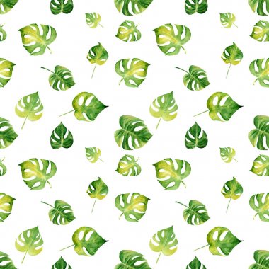 Suluboya tropikal yapraklı kusursuz desen.