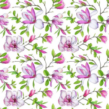 Dikişsiz desen, Manolya ve örgü dalları yeşil yeşillik ile çiçeklenme. Resimde beyaz bir arka plan üzerinde güzel çiçek kompozisyon işaretleri tarafından.