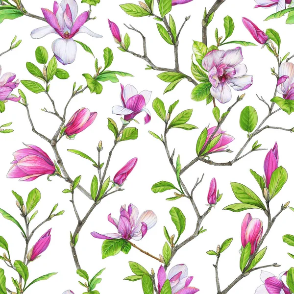 Naadloze Patroon Bloeiende Magnolia Geweven Takken Met Groen Gebladerte Illustratie — Stockfoto
