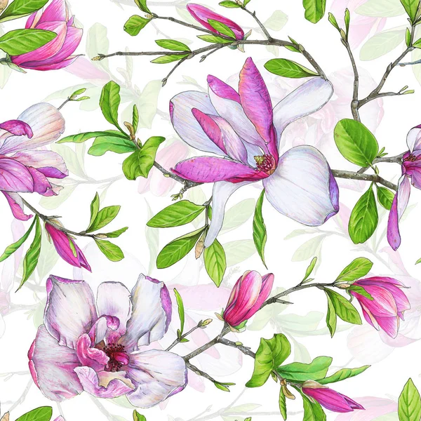 シームレスなパターンは 緑の葉のモクレンと織りの枝に咲きます イラスト マーカー 白地に美しい花の組成 — ストック写真