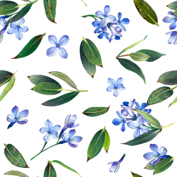 Dikişsiz desen, mavi leylak ve yeşil yaprakları çiçek açmış. Beyaz bir arka plan üzerinde güzel çiçek kompozisyon illüstrasyon işaretleri tarafından. Suluboya çizimi taklit.