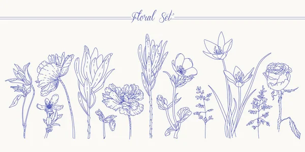 Floral set with flowers. Line art. Simple graphic drawing.