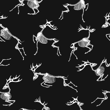Geyik iskeleti. Kafatası ve boynuzlu geyik kemikleriyle kusursuz desen. Siyah ve beyaz.