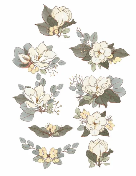 白い背景に蕾と葉を持つ美しい手描きの花のセット ストックフォト