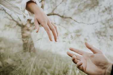 Birbirine yardım eden iki el bir ağacın arka planında ve parlak ışıkta uzanır.