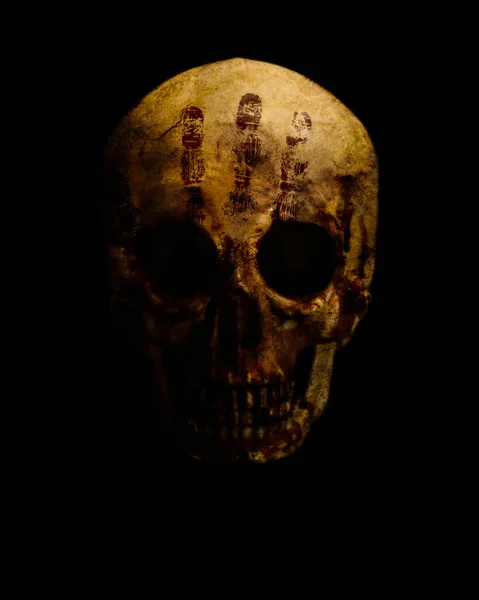 Real skull is isolated on black background — Stock Photo, Image