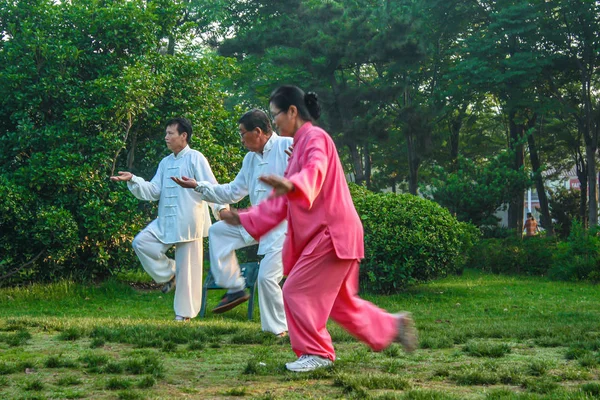 Ejercicio de tai chi temprano en el parque — Foto de Stock