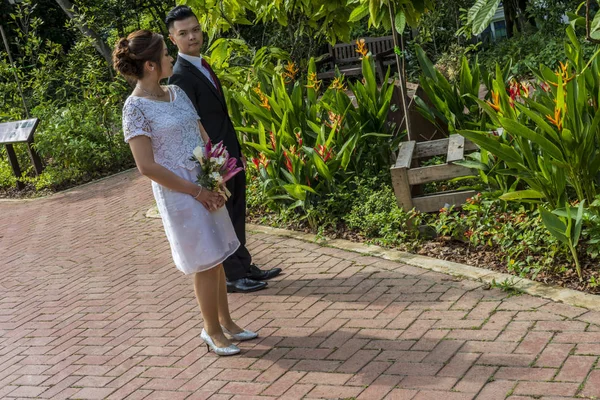 Asiática amante pareja pre-boda al aire libre sesión de fotos. Casuales personas naturales reales retratos . —  Fotos de Stock