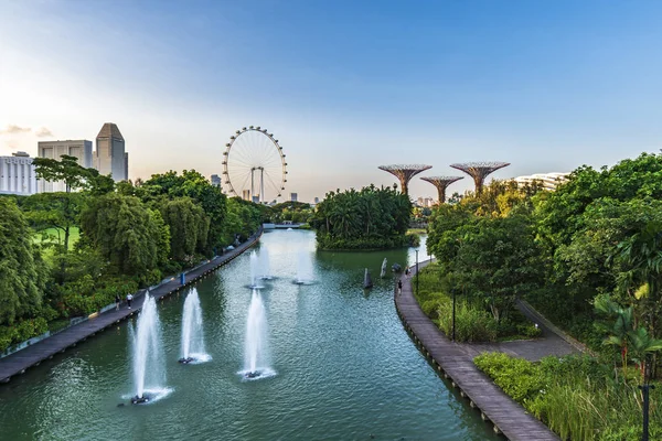 Singapore Gardens Bay Supertree Grove Atracciones Turísticas Famosas — Foto de Stock
