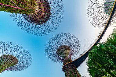 Singapur 'un ünlü turizm beldeleri Garden by The Bay turizm turistik eğlence merkezi Supertree Grove mavi & altın saat boyunca insan fotoğraf ve selfie çekerken
