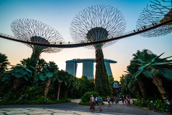 Singapura destinos famosos Jardim By The Bay turismo viagem atração turística Supertree Grove durante a hora azul e dourado humano tirar fotos & selfie — Fotografia de Stock