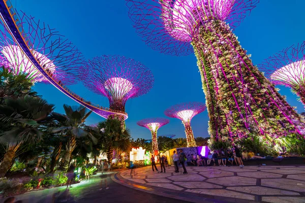 Singapur 'un ünlü turizm beldeleri Garden by The Bay turizm turistik eğlence merkezi Supertree Grove mavi & altın saat boyunca insan fotoğraf ve selfie çekerken