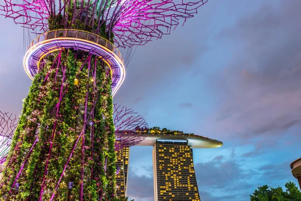 Singapur atracción turística famosa. La mayor extravagancia navideña en Gardens By The Bay Esculturas ligeras . — Foto de Stock