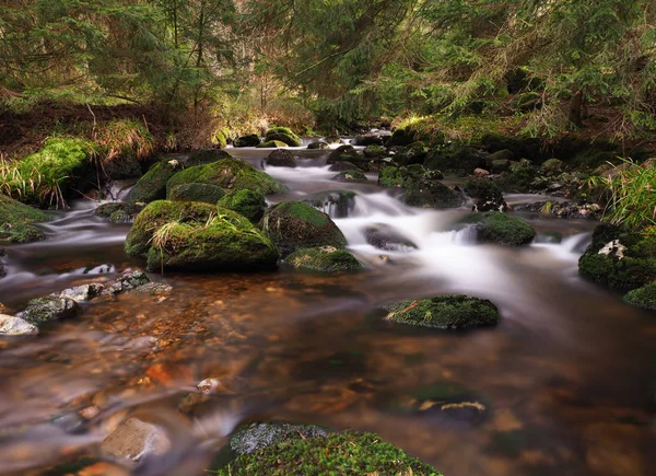 Small mountain brook with mystical water