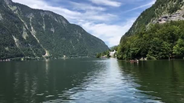 Panorama Natação Espelho Superfície Lago Água Maravilhosa Natureza Selvagem Pinhal — Vídeo de Stock