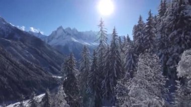 Büyüleyici hava aracı Alps dağlarındaki karlı çam ağaçlarının tepesinde açık mavi güneşli gökyüzünde uçuyor.
