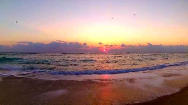 Océano Olas Estrellándose Playa Arena Pintoresco Naranja Color Cálido Atardecer — Vídeos de Stock