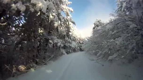 Primeira Pessoa Pov Action Shot Moving Fast Fascinating Cold Winter — Vídeo de Stock