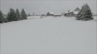 Soğuk kış manzarasında çam ağaçlarıyla kaplı kar beyazı tarlalar üzerinde inanılmaz bir insansız hava aracı uçuşu.