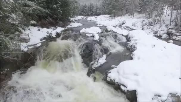 冬の森の雪の山の風景の岩の石の上を流れる冷たい水の流れの上に魅力的な空中ドローンの飛行 — ストック動画