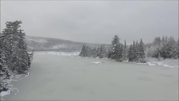 冷たい冬の山の丘の風景で松の木で覆われた湖の川を覆う雪の白い氷の上に驚くべき空中ドローン飛行 — ストック動画