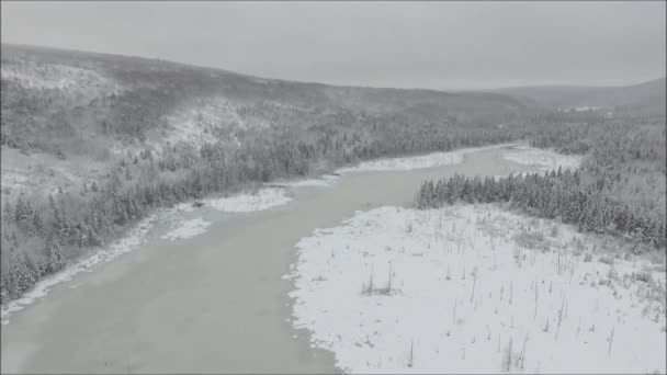 冷たい冬の山の丘の風景で松の木と雪の白い氷で覆われた湖の川で見事な空中ドローンのフライオーバー — ストック動画