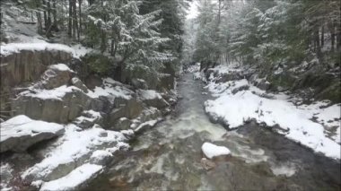Sakin soğuk su akıntısı karla kaplı çam ağacı ormanlarında kış dağlarında hava aracıyla vurularak akıyor.