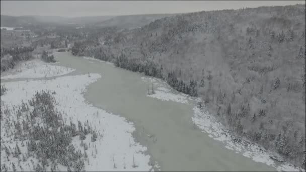 冷たい冬の山の丘の風景で松の木で覆われた湖の川をカバー雪の白い氷で豪華な空中ドローンのフライオーバー — ストック動画