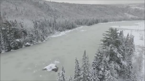 冷たい冬の山の丘の風景で松の木と雪の白い氷で覆われた湖の川で雄大な空中ドローンのフライオーバー — ストック動画