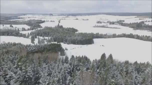 山の森の冬の風景で雪に覆われたフィールド上の曇り空の美しい空中ドローンのフライトパノラマ — ストック動画