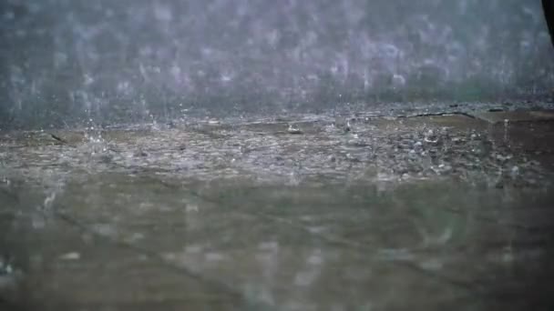 雨のスローモーションビューを満たす魅力的なローアングルは 灰色の湿った舗装アスファルトコンクリート道路に落ちて落ち着きます — ストック動画