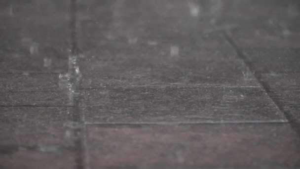 Incredibile Angolo Basso Soddisfacente Vista Rallentatore Gocce Pioggia Cadere Calma — Video Stock