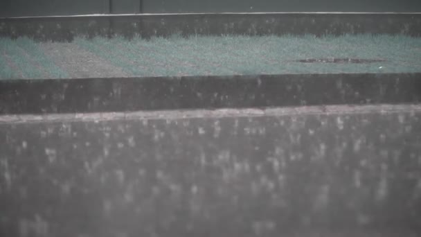 Excelente Ángulo Bajo Satisfaciendo Vista Cámara Lenta Gotas Lluvia Cayendo — Vídeo de stock