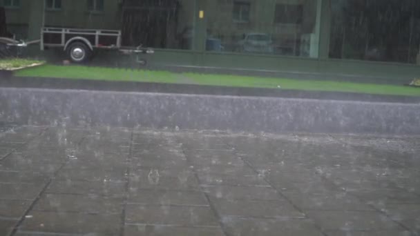 Espléndido Ángulo Bajo Que Satisface Vista Cámara Lenta Gotas Lluvia — Vídeo de stock