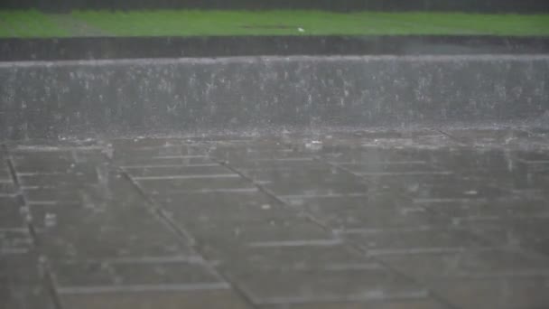 Majestuoso Ángulo Bajo Satisfaciendo Vista Cámara Lenta Gotas Lluvia Cayendo — Vídeos de Stock