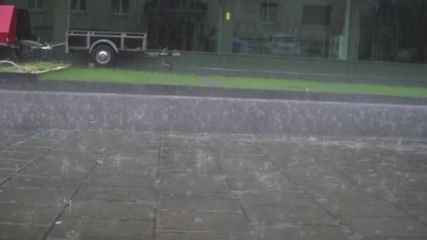 Lovely Incrível Baixo Ângulo Satisfazendo Câmera Lenta Vista Gotas Chuva — Vídeo de Stock