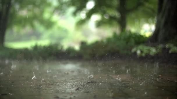 Espetacular Câmera Lenta Fechar Constante Satisfatório Tiro Chuva Chuvosa Gotas — Vídeo de Stock