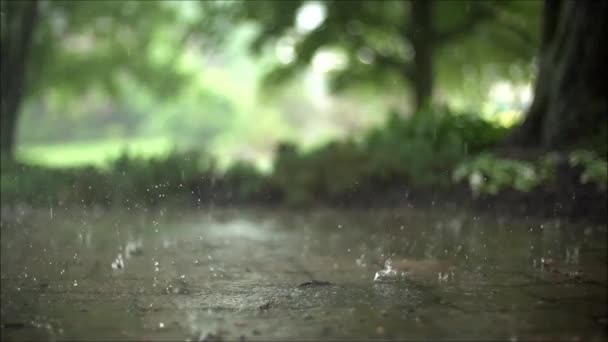 Verbazingwekkende Close Bevredigend Gestage Slow Motion Shot Van Regendruppels Vallen — Stockvideo