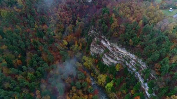 Pintoresco tiro de dron aéreo 4k de hojas de color verde amarillo rojo árboles otoñales de otoño en el bosque de montaña del campo — Vídeos de Stock
