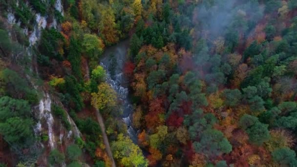 Kırmızı yeşil yaprakların 4K 'lık etkileyici hava aracı görüntüsü kırsal dağ ormanlarında sonbahar ağaçları düşüyor. — Stok video